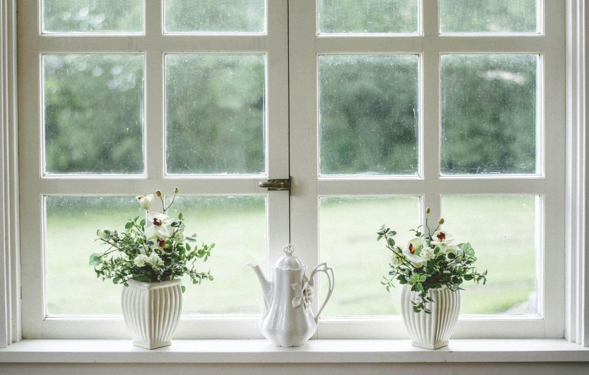 Fenêtre donnant sur jardin avec plantes décoratives à la fenêtre 