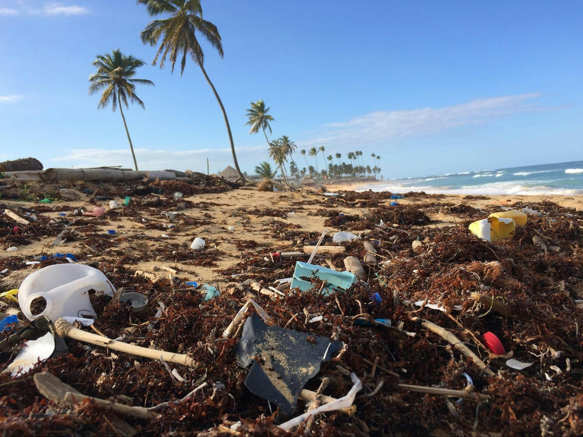 Plage pleine de déchets