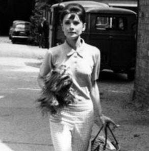 inspiration pour le polo daisy égérie Audrey Hepburn