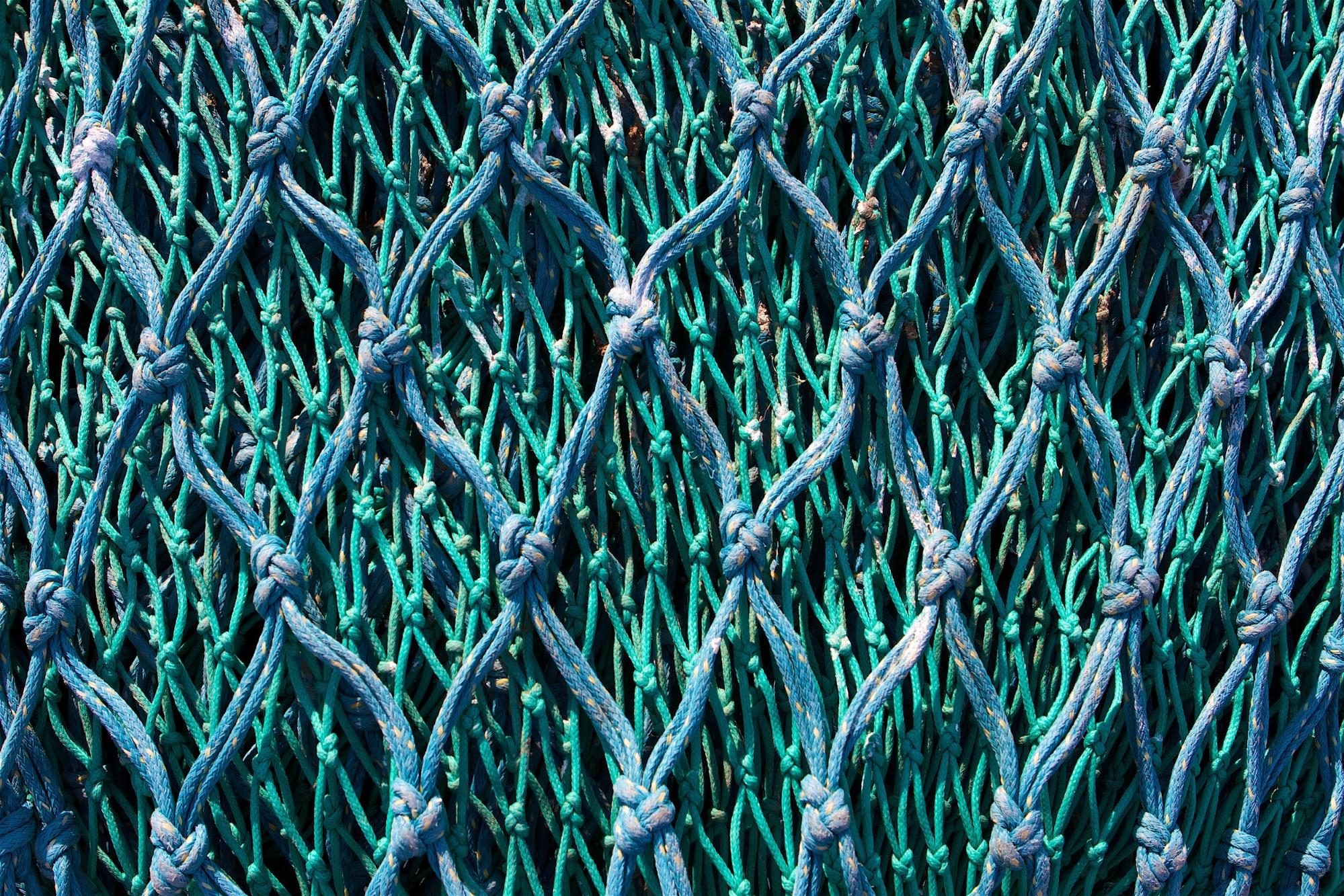 Mailles de filet de pêche