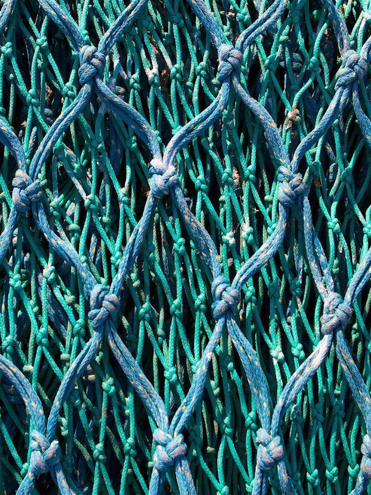 Mailles de filet de pêche