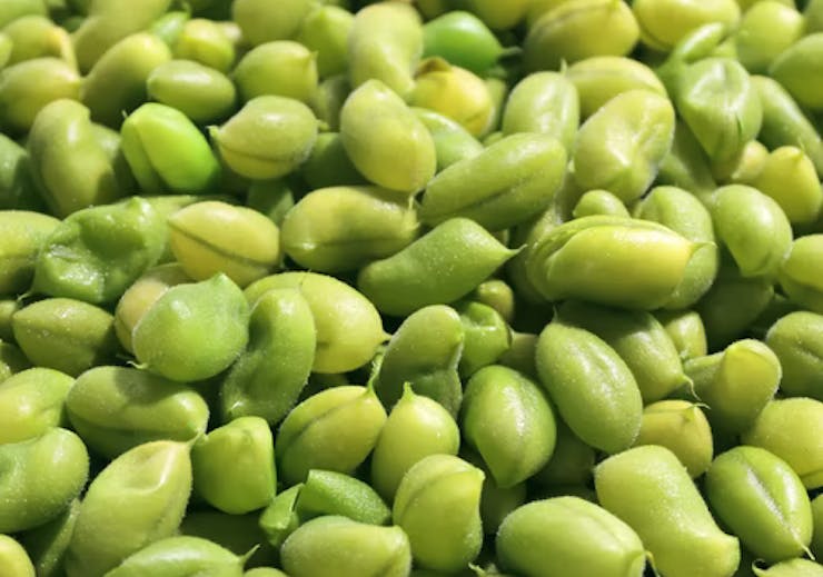 Soy Milk & Edamame
