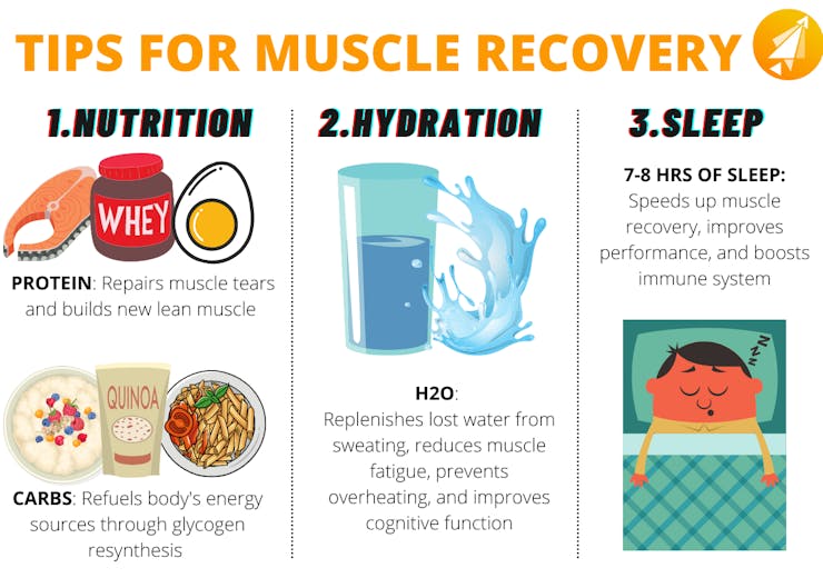 Muscle recovery tips