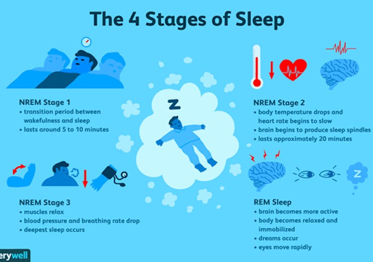 Stages of sleep