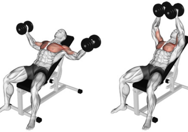 incline bench dumbbell fly