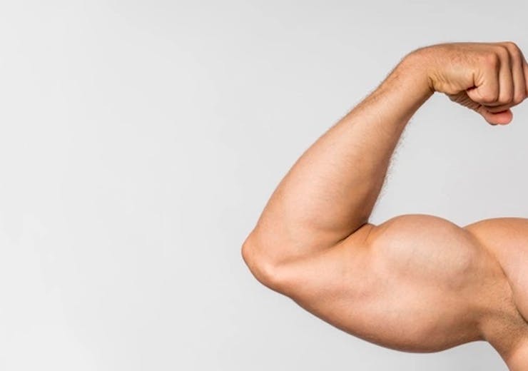 best bicep exercise for men