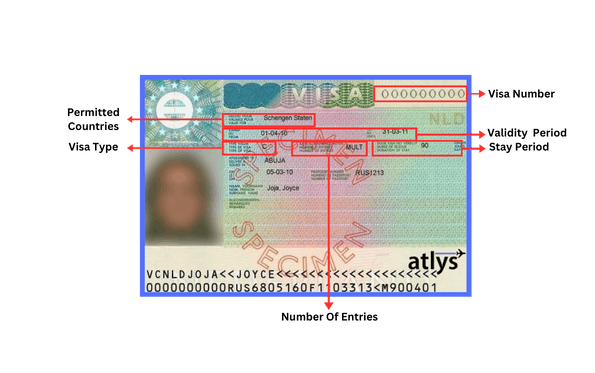 Infograph of how to read your Schengen visa.