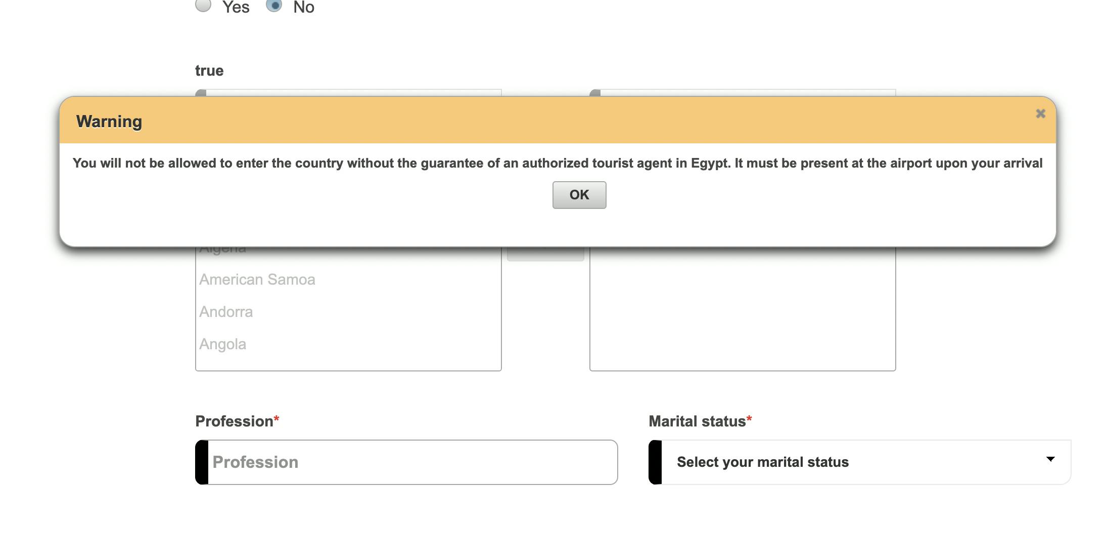 Screenshot of the message shown on the Egypt e visa portal stating that Indians can't apply for a visa if they're travelling alone.