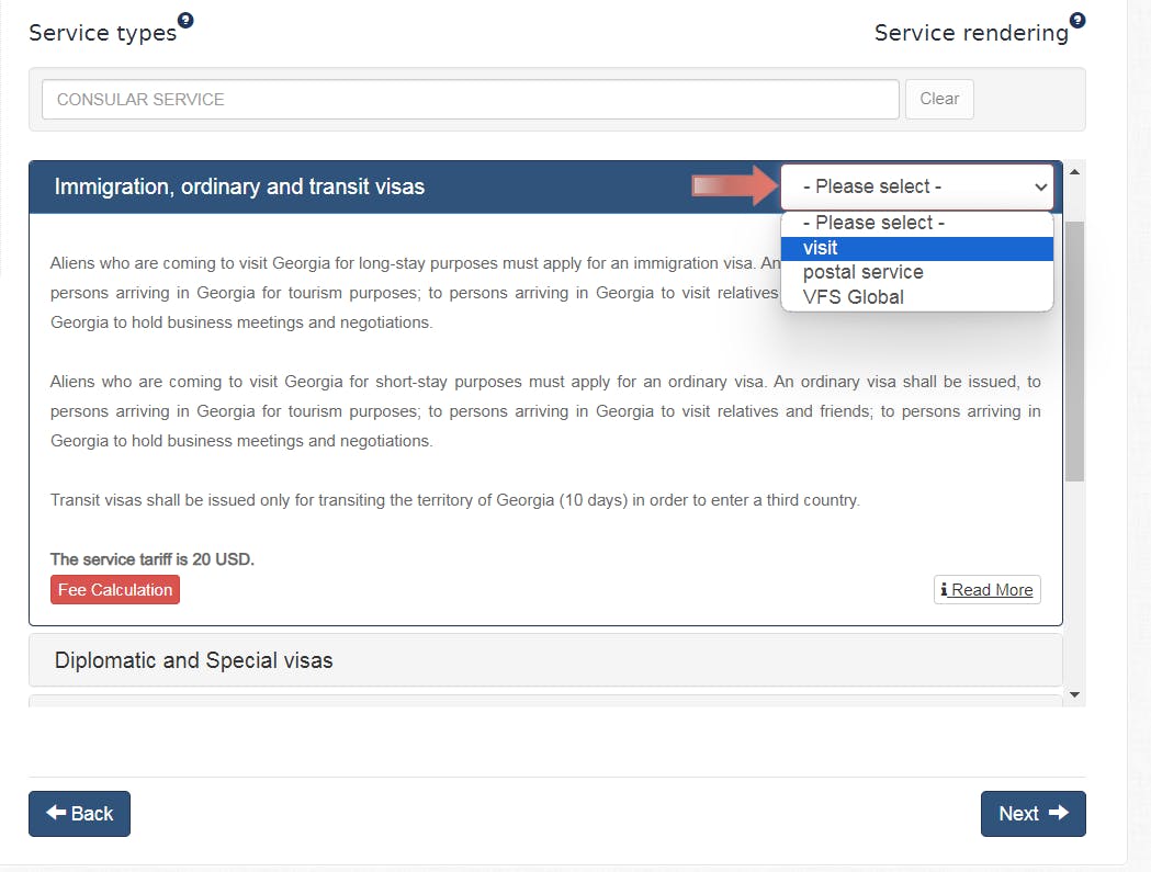 Choosing your visa type when applying for a Georgia visa.