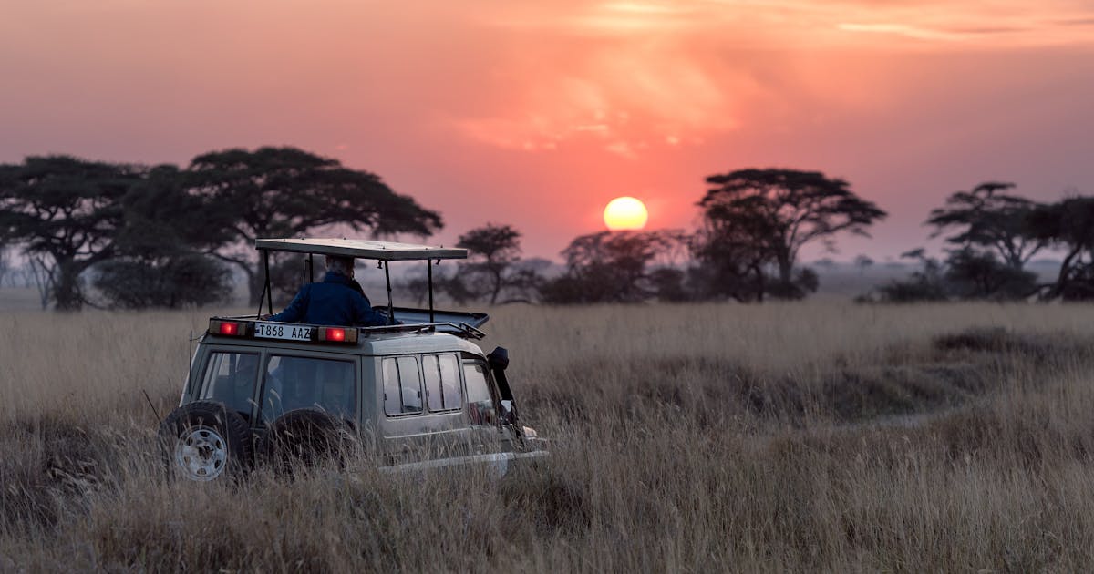 People going on a safari, to look at wild animals in Tanzania