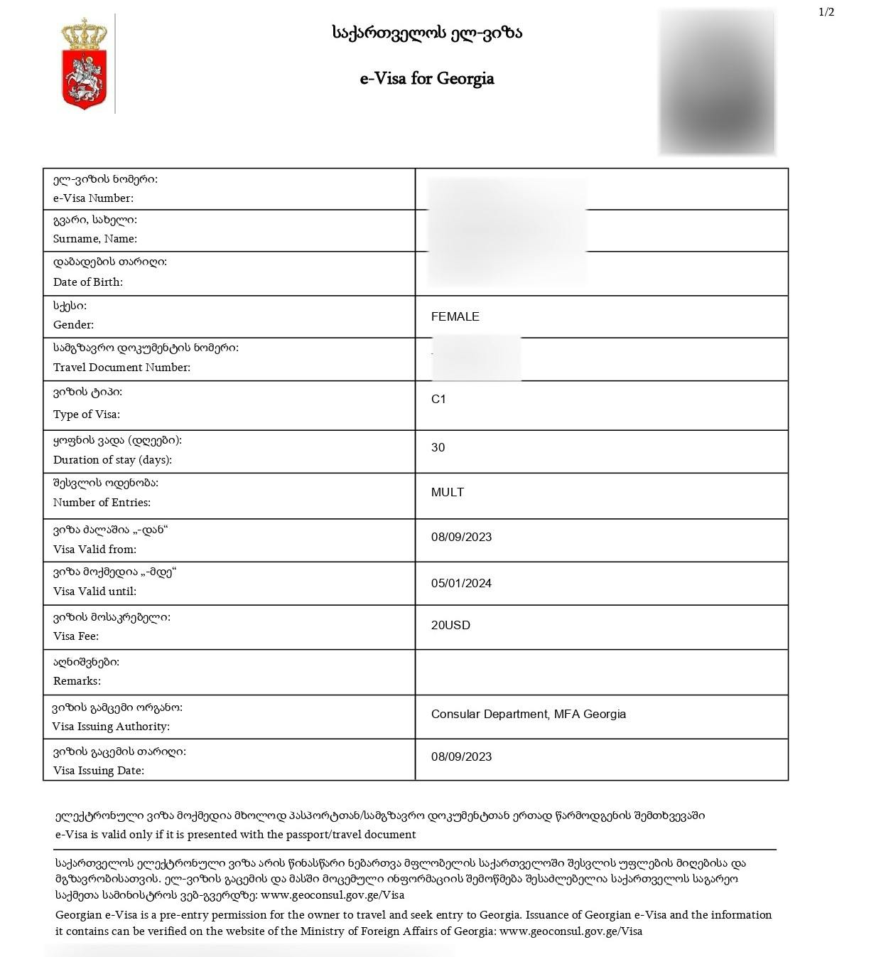 A sample of the Georgia e-visa.