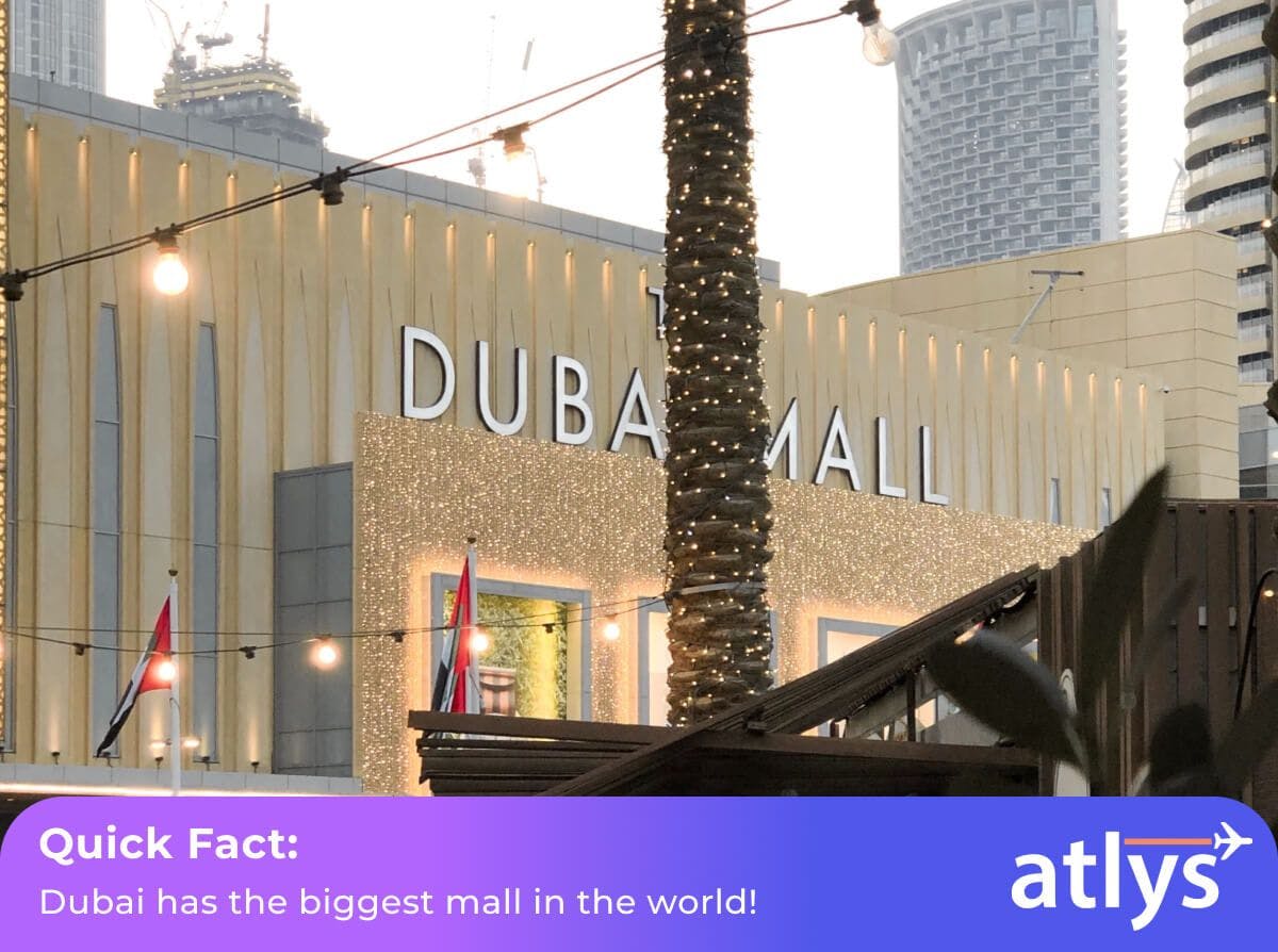 One of the biggest malls in the world - the Dubai mall.