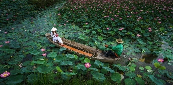A woman with white clothes sitting on a longboat on a river covered in water covered in pink water lillys.