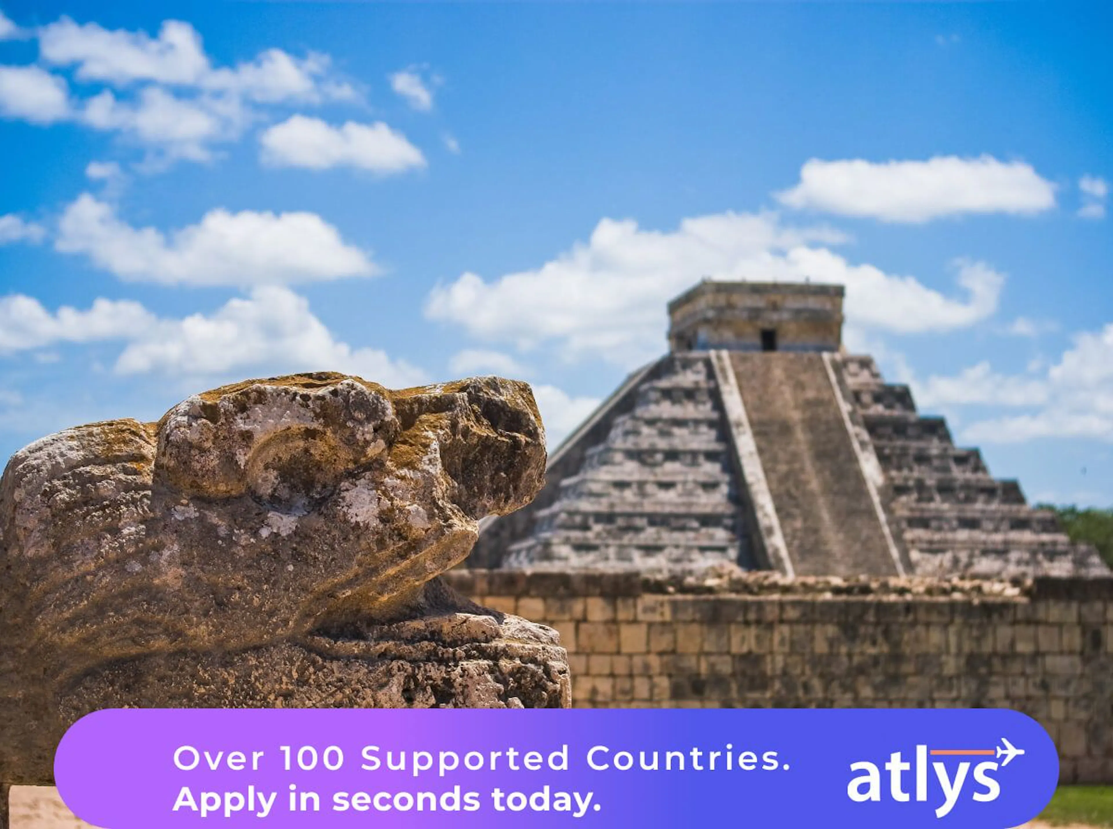 Mexico Tourist Card And Health Declaration