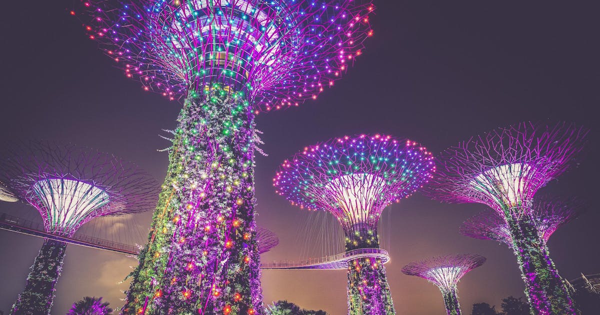 A view of a purple tree light in Singapore at night.