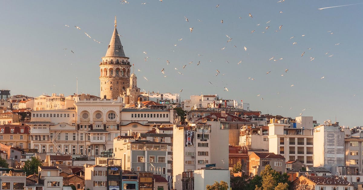 Aerial view of buildings and flying birds in Turkey during Daytime.