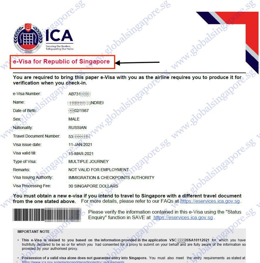 Example of the Singapore e-visa.
