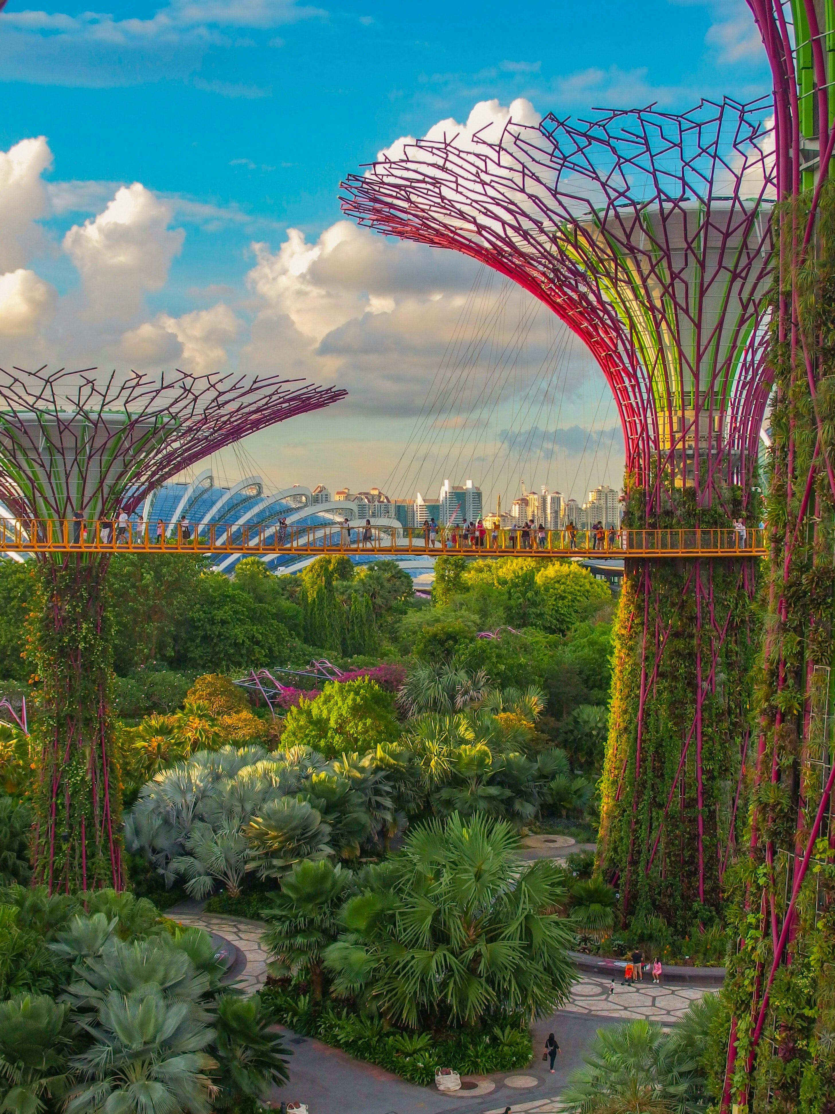 A garden area with tall structures covered in greenery.