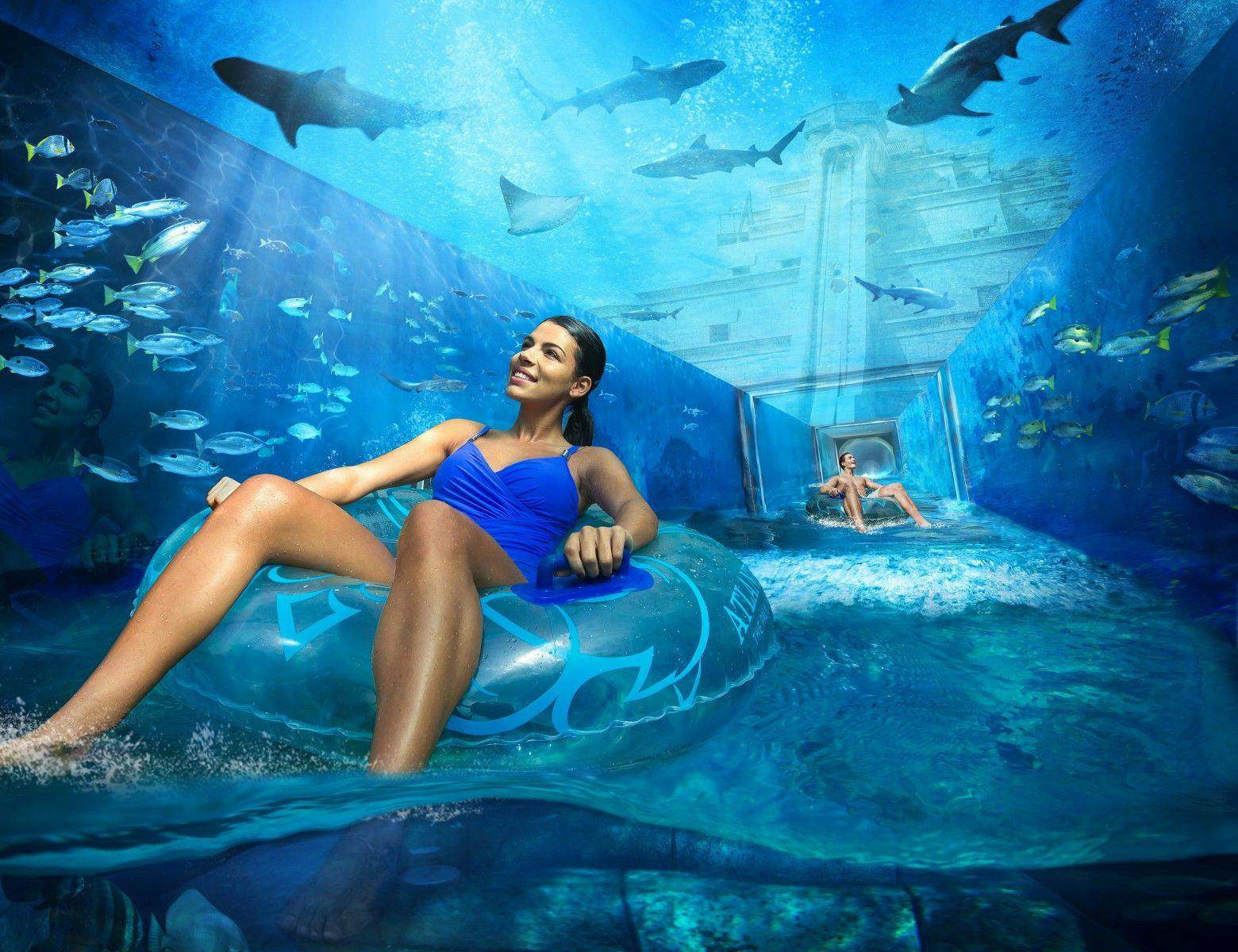 Two people riding on water tubes down a water slide surrounded by fishlife.