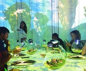 A table with dome-like structures containing food, hanging from the roof.