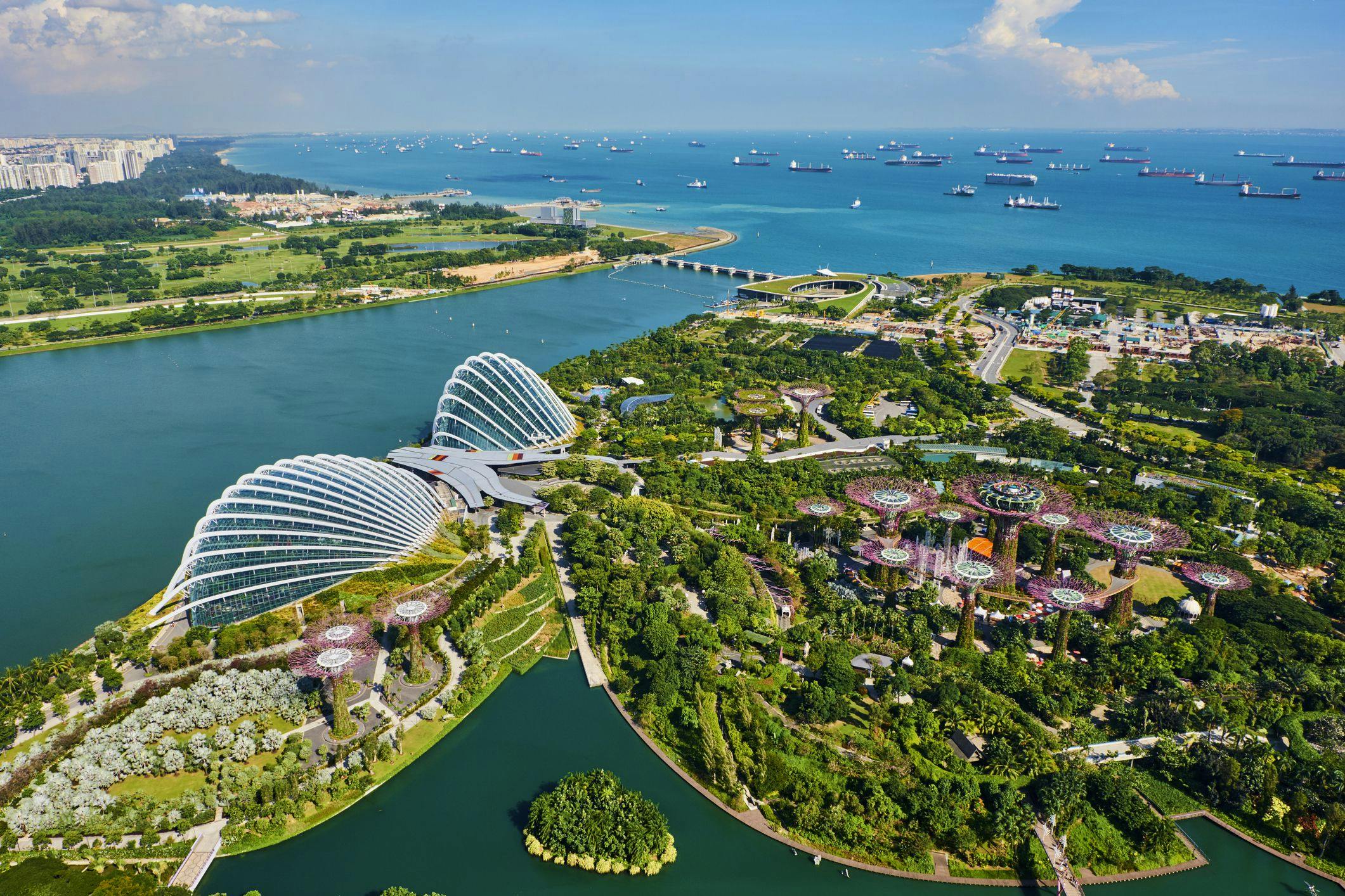Aerial view of a city surrounded by blue water and covered in trees during daytime.