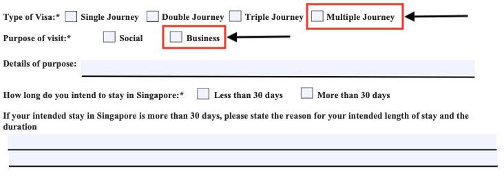 Example of the visa application form for a business visa.