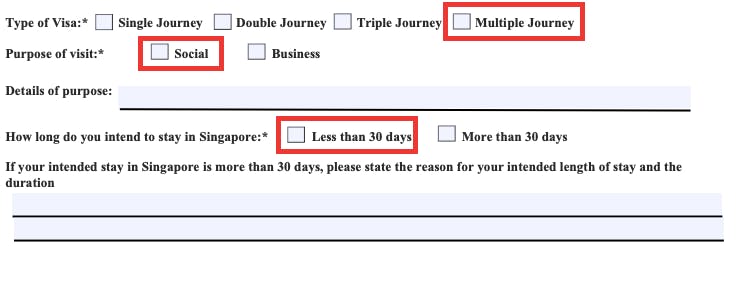Example of a Singapore visa application form.