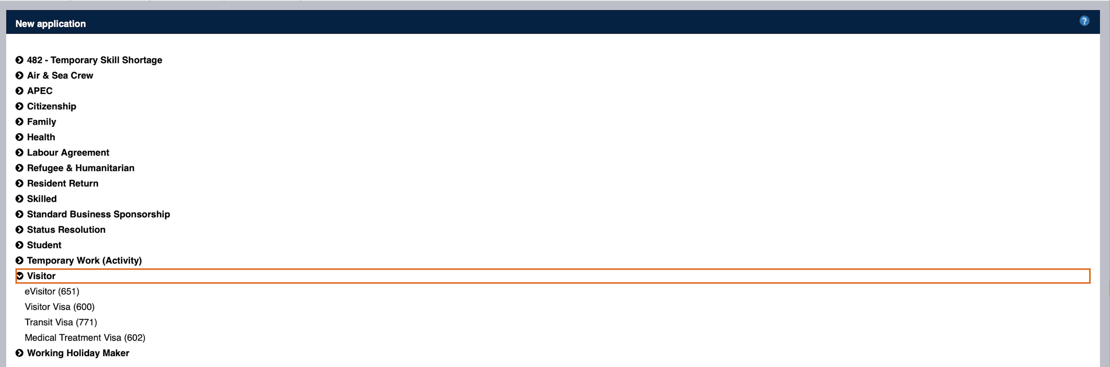 Screenshot of the online application process for the transit visa.