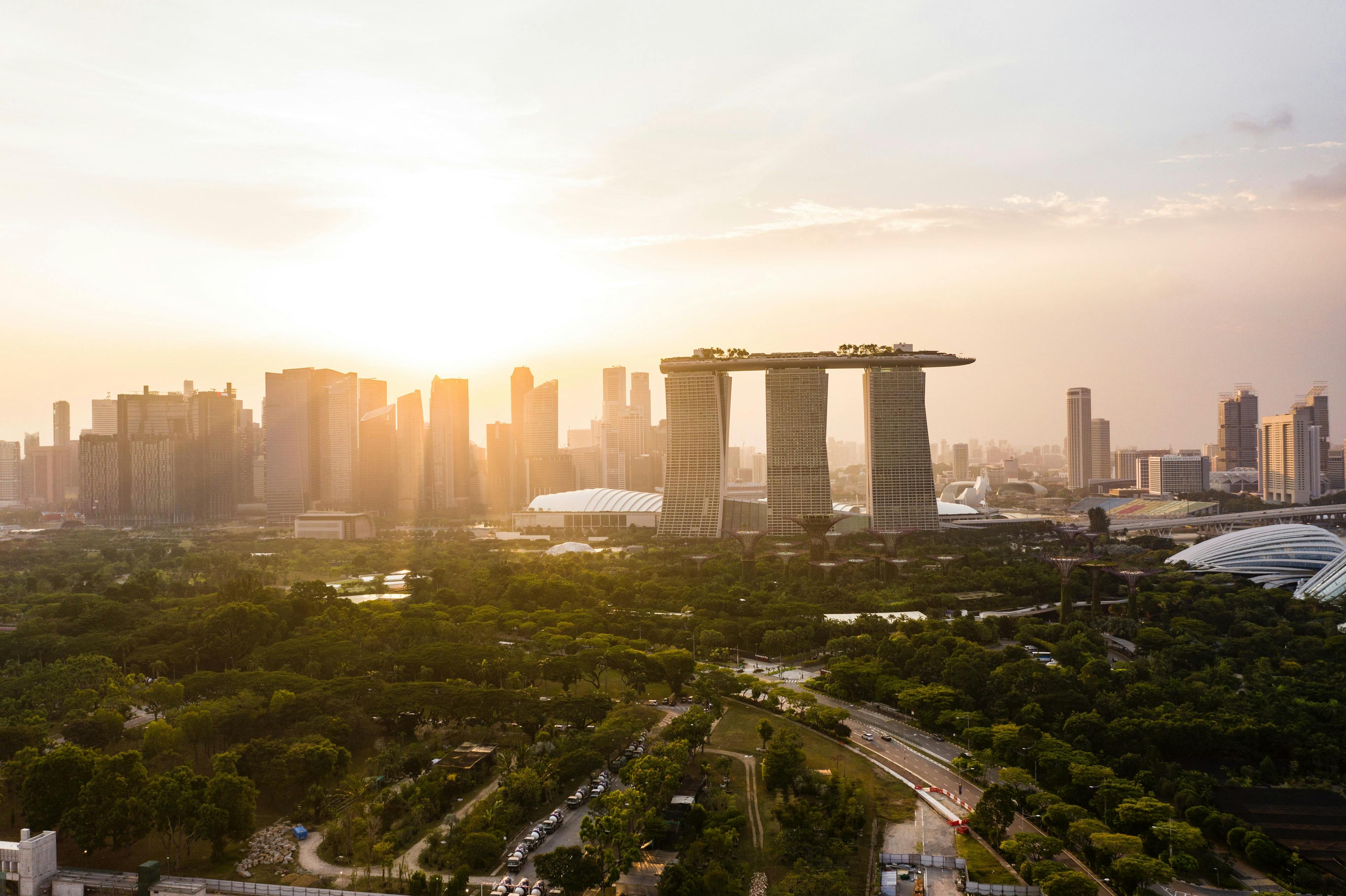 Green trees with high-rise buildings in the background during sunset.