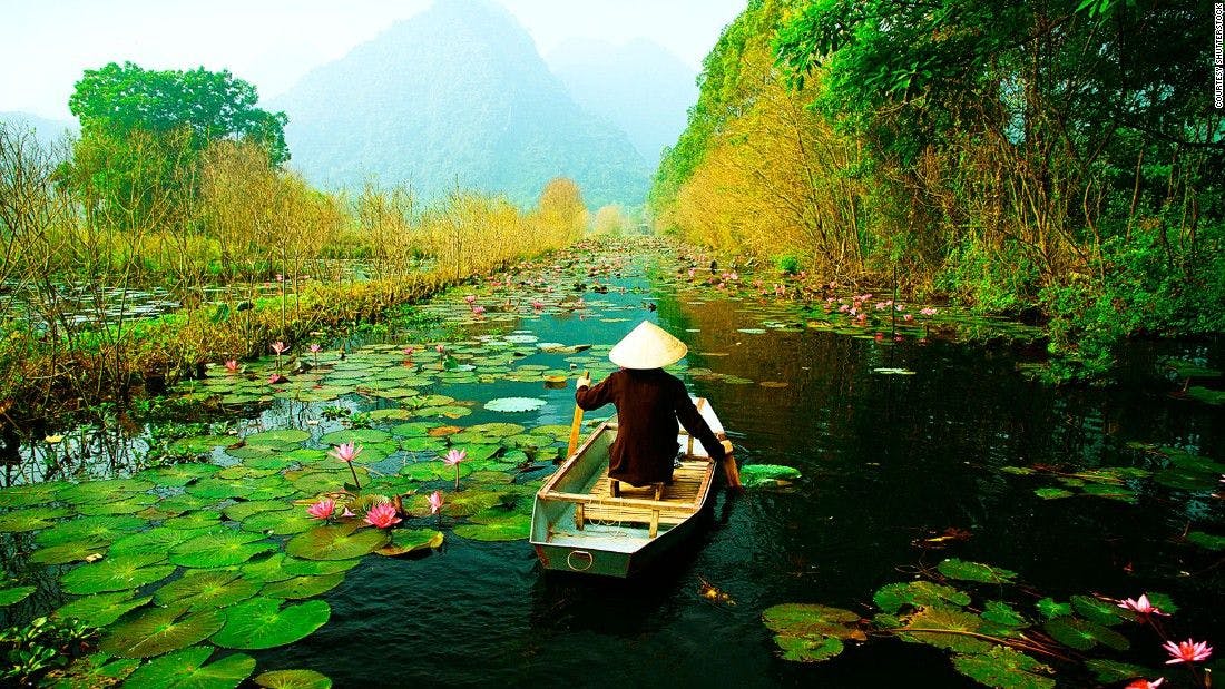 A person on a boat floating on a river with water lillys.