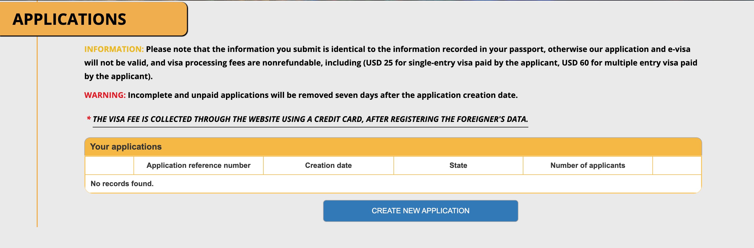 Screenshot of the online visa application process for the Egypt e visa for Indians
