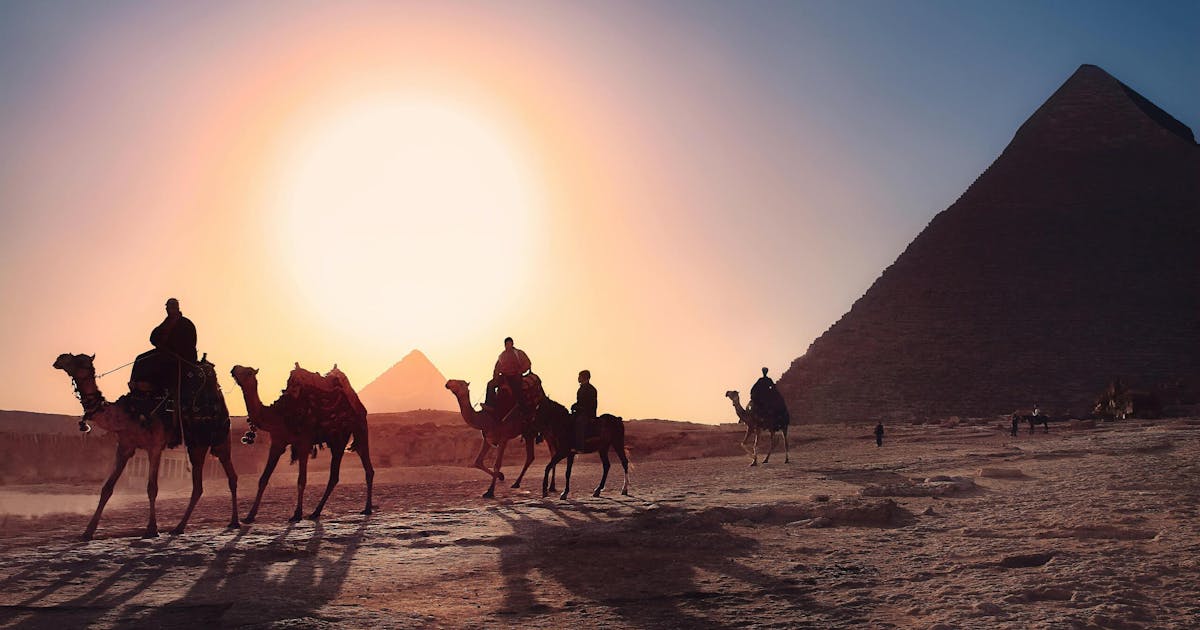 Silhouette of camels walking in the dessert with a Pyramid in the background during susnet.