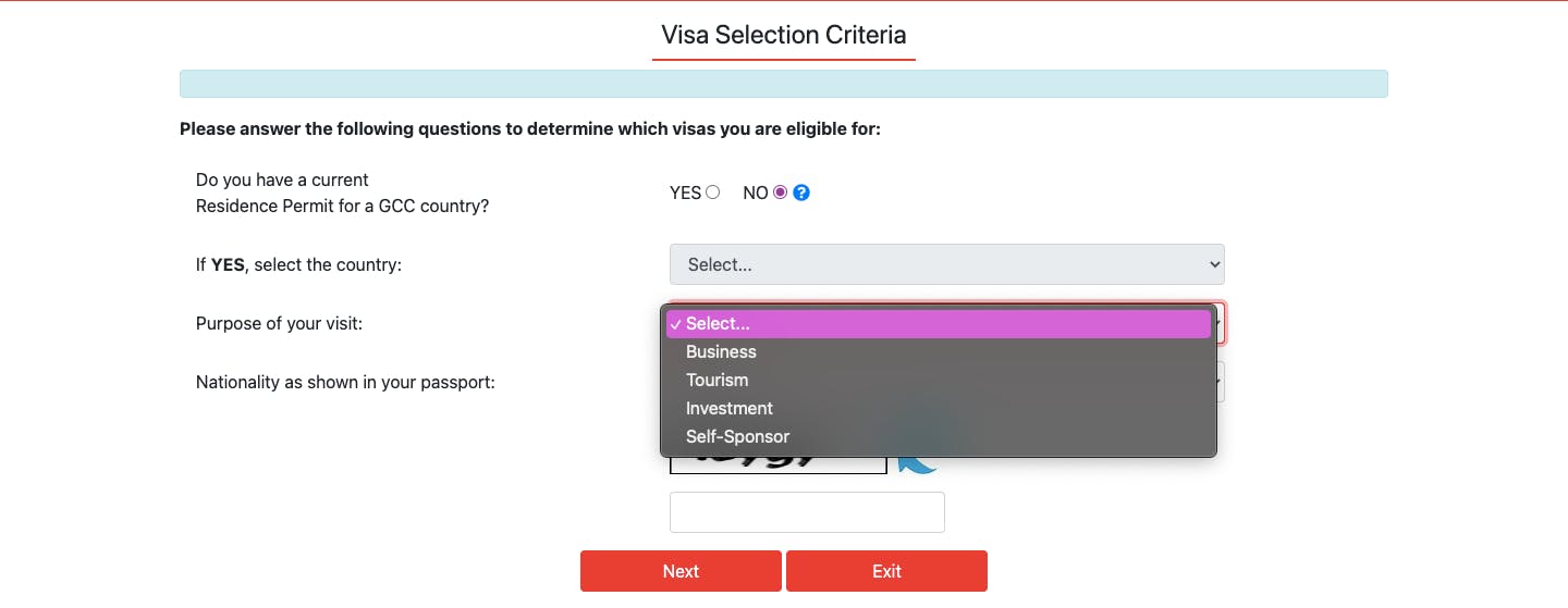 A document displaying your visa selection to determine which visa you are eligible for. 