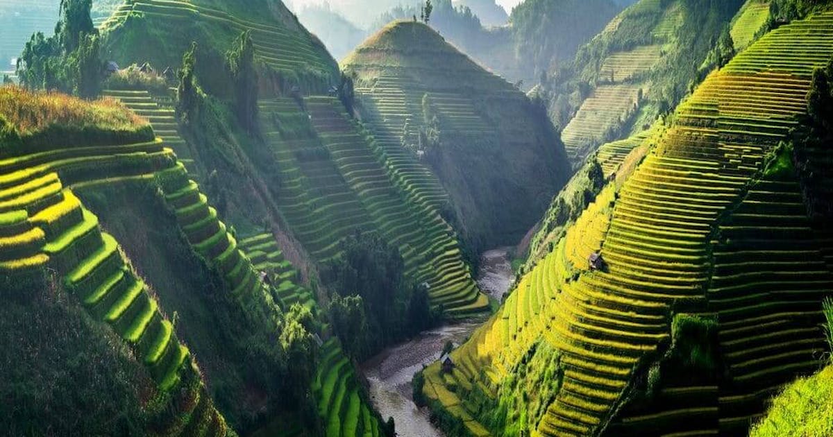 Beautiful lush green rice fields, a river can be seen between the hills.