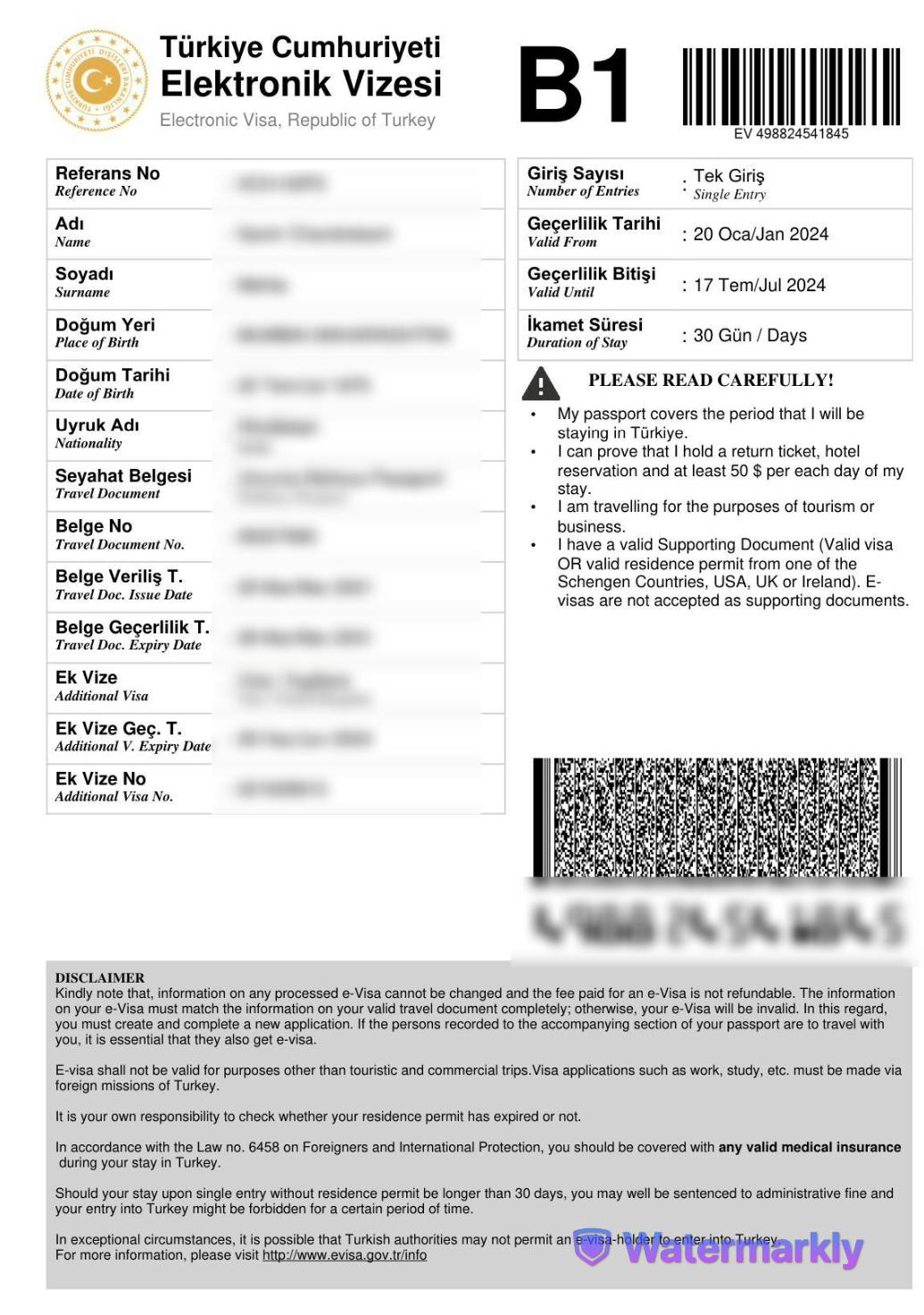 Turkey e-visa sample