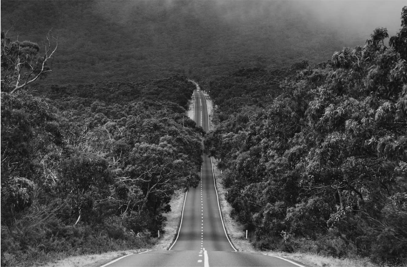 A very long road surrounded by trees and a jungle atmosphere.