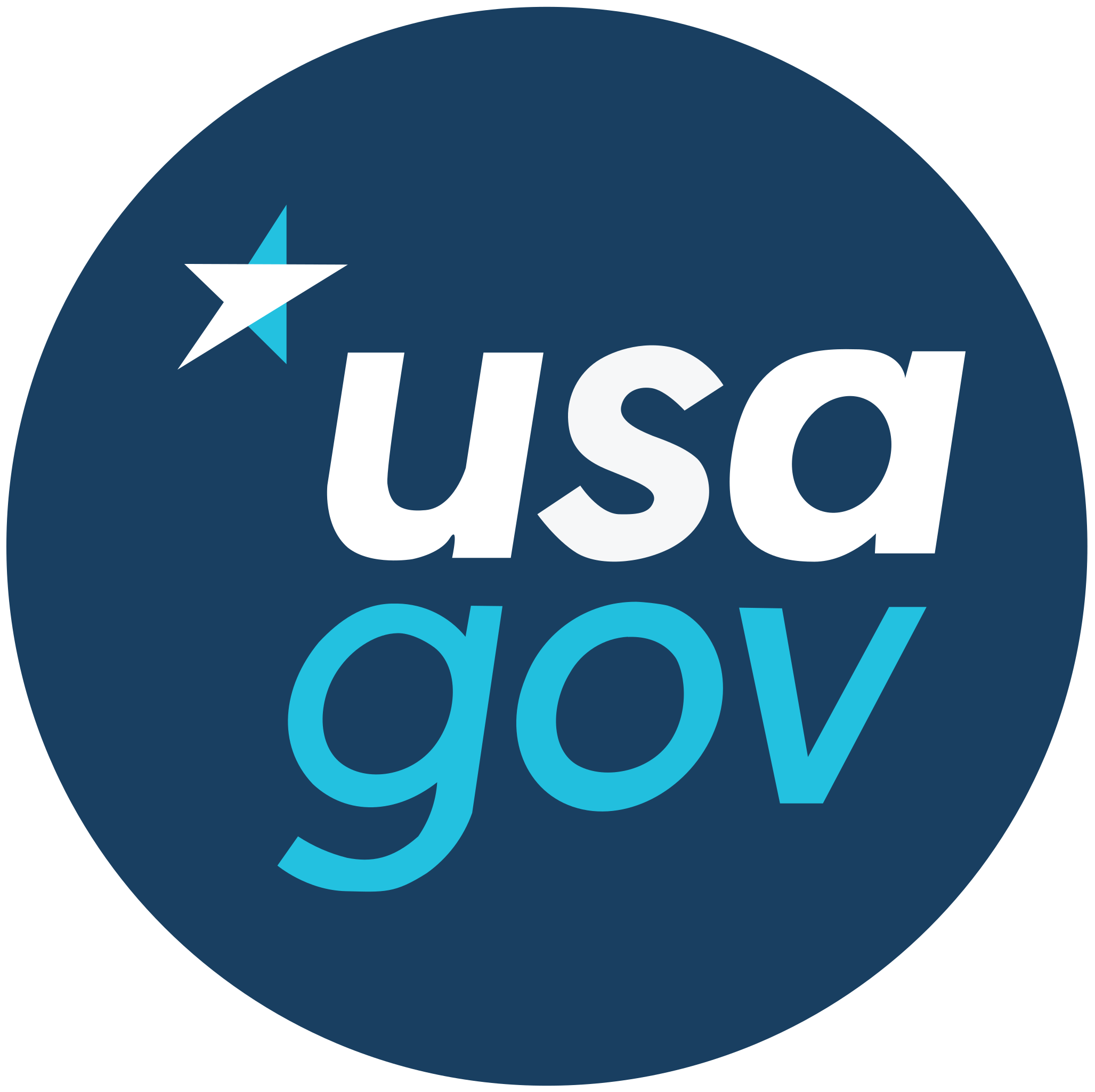 USA Gov logo.