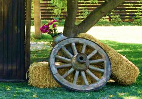 Imagen carrusel