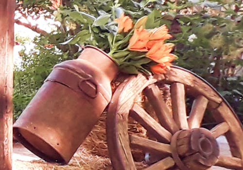 Imagen carrusel