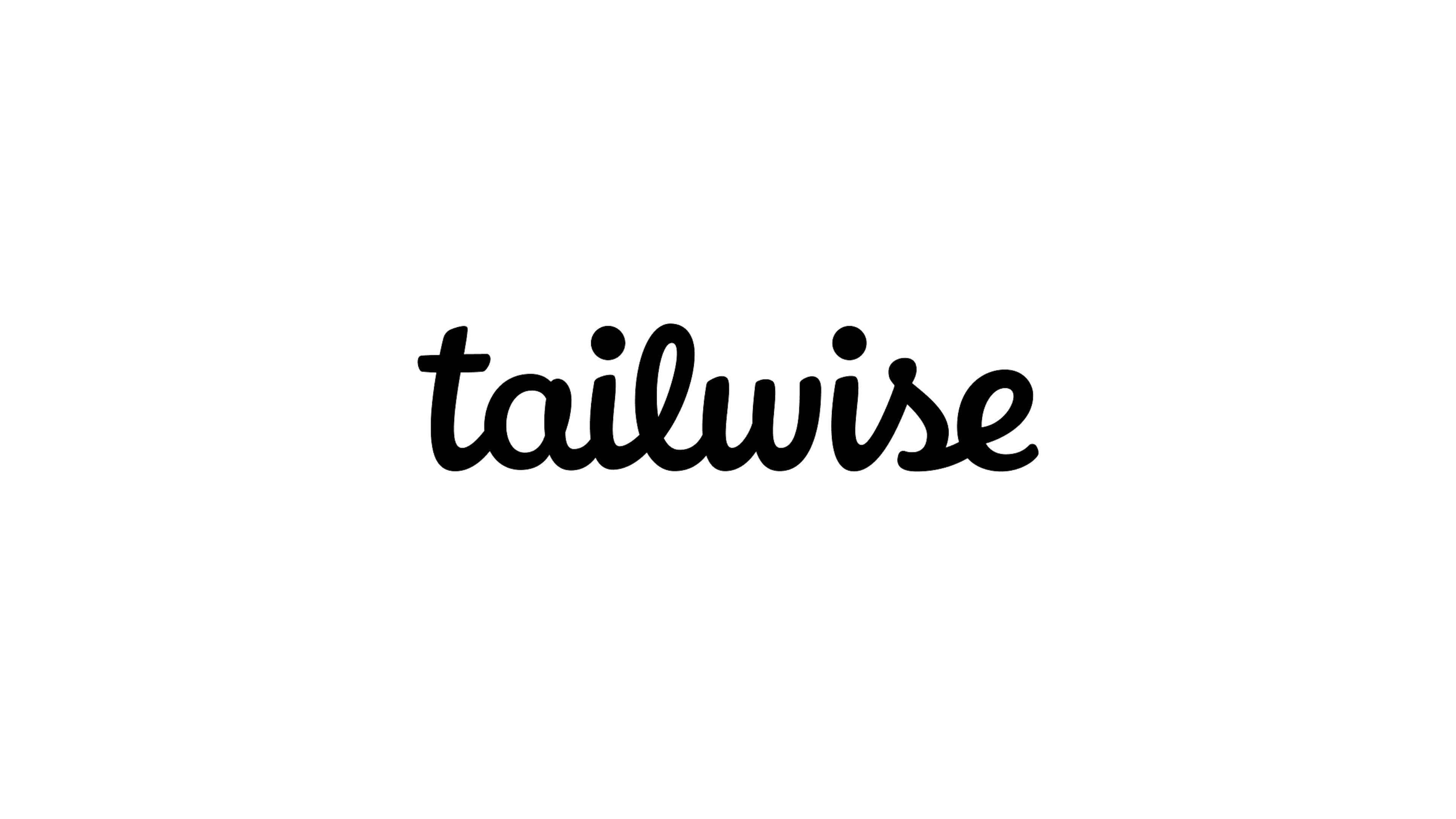 tailwise logo
