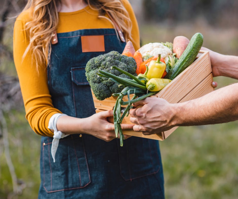 L'alimentation BIO, locale et de saison