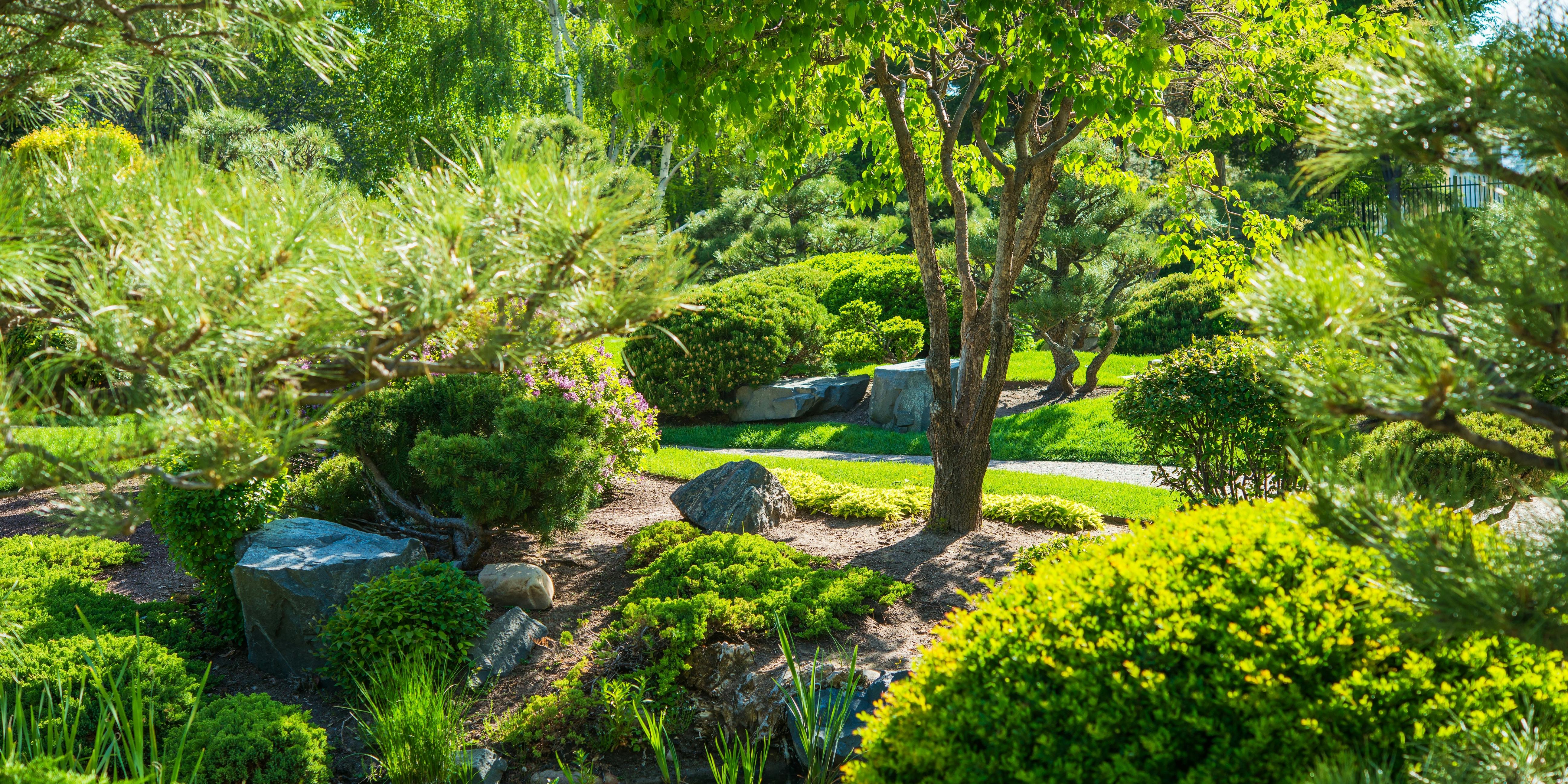Cultiver le Bonheur : Comme un Jardin pour l'Âme