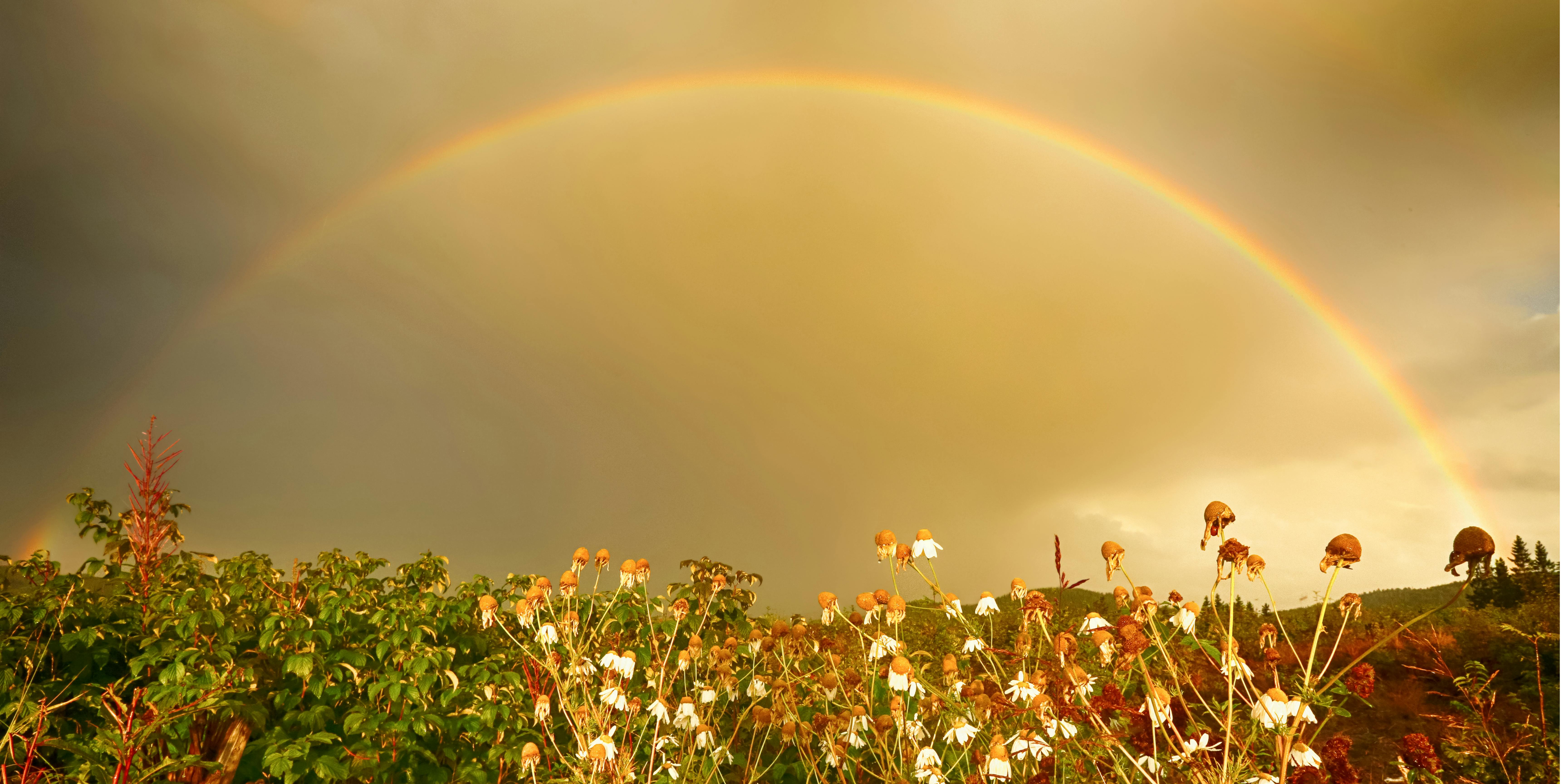 Le Reiki n’est pas une croyance, c’est une expérience