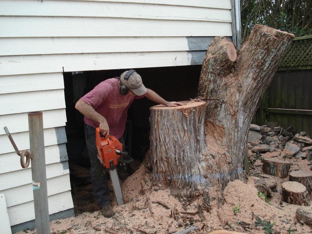 Lifestyle Tree Care