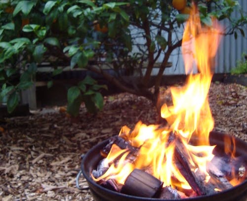 Ti-tree fire