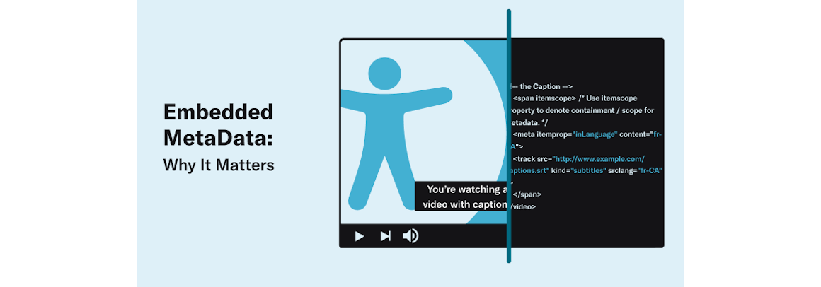 Embedded MedaData: Why It Matters