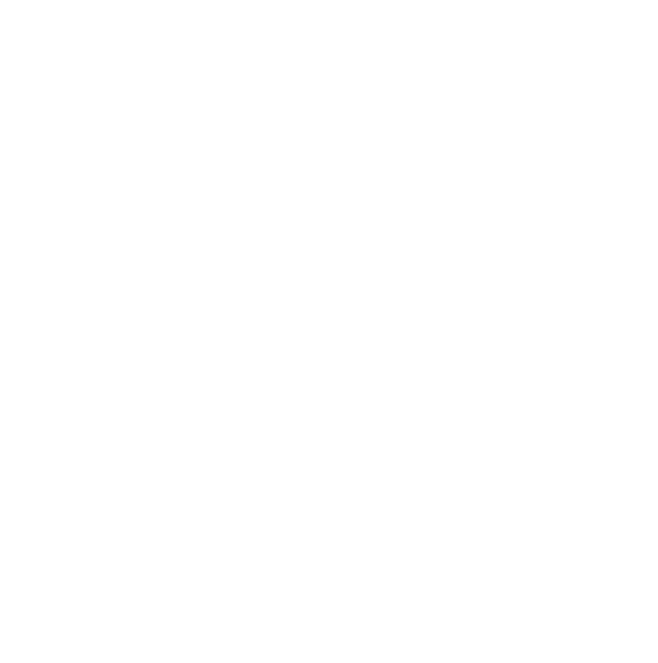 An icon of the roman numeral 2 to represent Title II