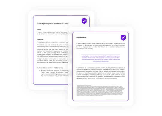 Examples from AudioEye's legal response documentation