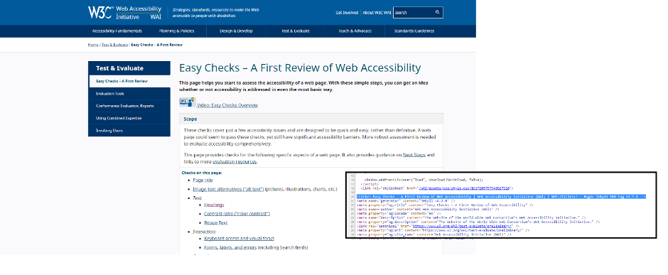 W3C homepage screenshot with code