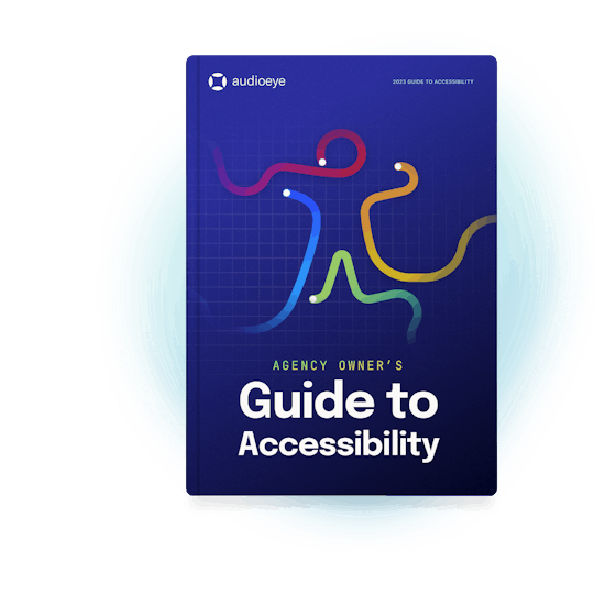 Agency Owner's Guide to Accessibility eBook cover